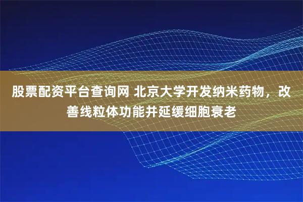 股票配资平台查询网 北京大学开发纳米药物，改善线粒体功能并延缓细胞衰老